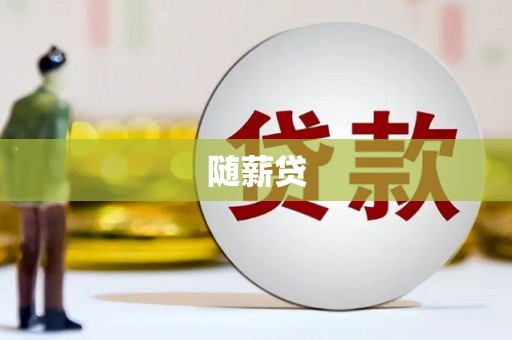 定海随薪贷