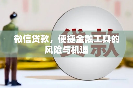 定海微信贷款，便捷金融工具的风险与机遇
