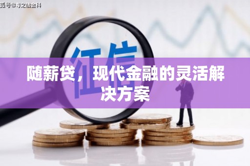 定海随薪贷，现代金融的灵活解决方案