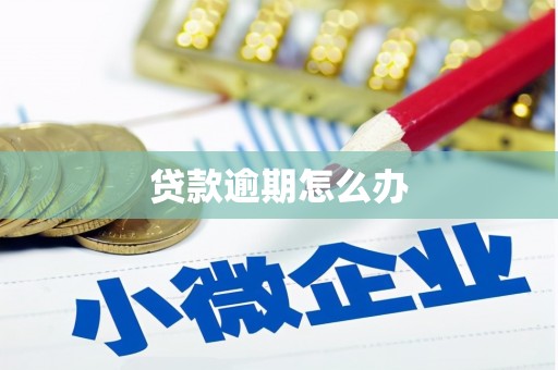 定海贷款逾期怎么办