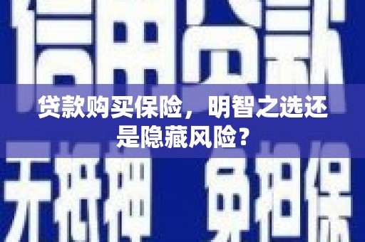 定海贷款购买保险，明智之选还是隐藏风险？