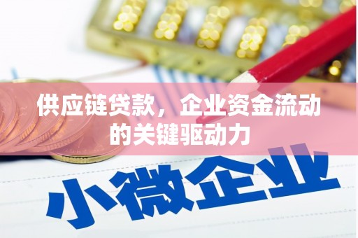 定海供应链贷款，企业资金流动的关键驱动力