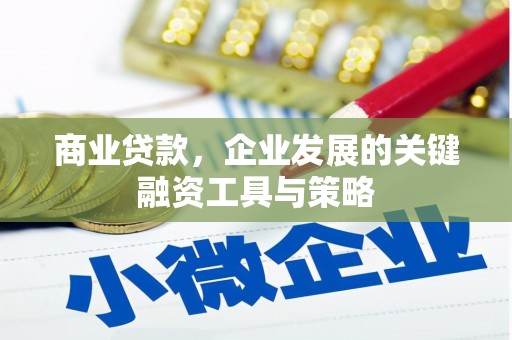 定海商业贷款，企业发展的关键融资工具与策略