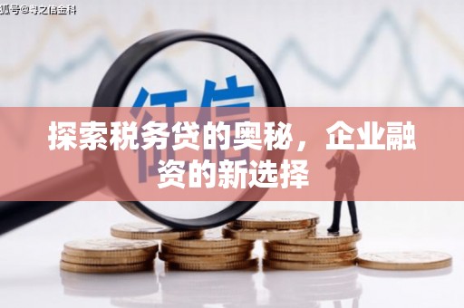 定海探索税务贷的奥秘，企业融资的新选择