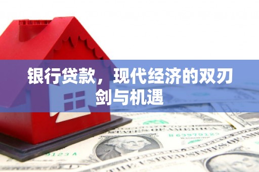 定海银行贷款，现代经济的双刃剑与机遇