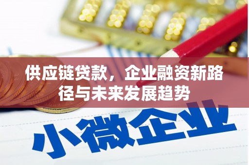 定海供应链贷款，企业融资新路径与未来发展趋势
