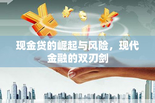 定海现金贷的崛起与风险，现代金融的双刃剑