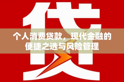 定海个人消费贷款，现代金融的便捷之选与风险管理