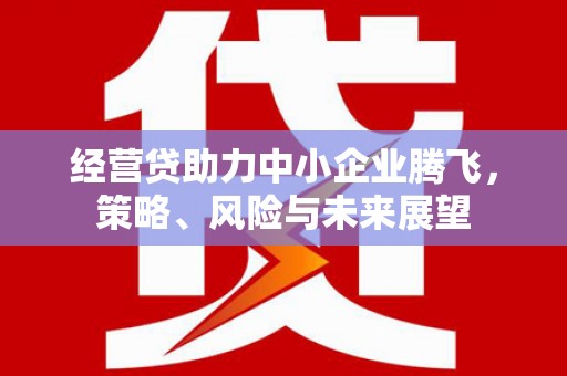定海经营贷助力中小企业腾飞，策略、风险与未来展望