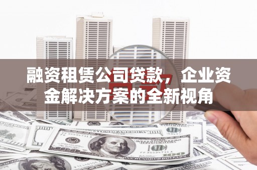 定海融资租赁公司贷款，企业资金解决方案的全新视角