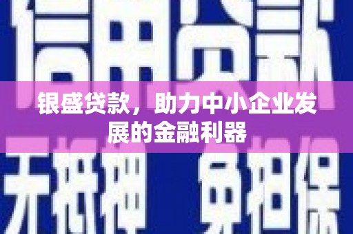 定海银盛贷款，助力中小企业发展的金融利器