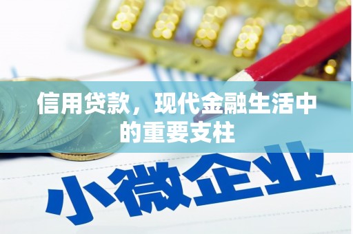 定海信用贷款，现代金融生活中的重要支柱