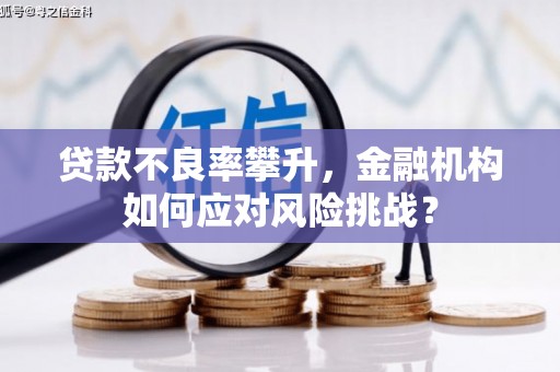定海贷款不良率攀升，金融机构如何应对风险挑战？