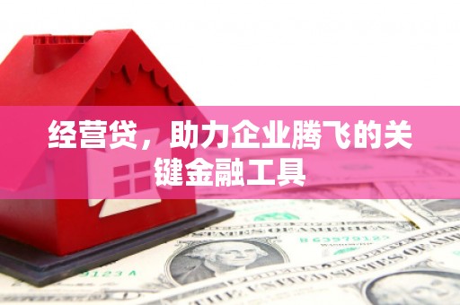定海经营贷，助力企业腾飞的关键金融工具