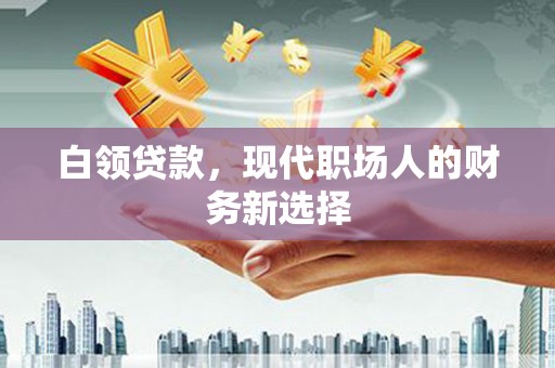 定海白领贷款，现代职场人的财务新选择
