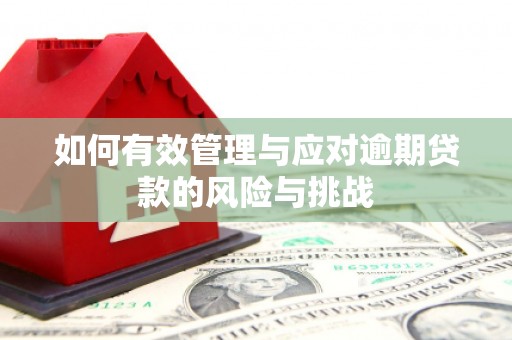 定海如何有效管理与应对逾期贷款的风险与挑战