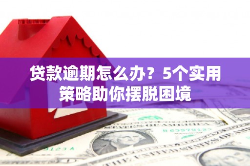 定海贷款逾期怎么办？5个实用策略助你摆脱困境