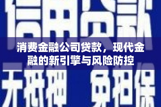 定海消费金融公司贷款，现代金融的新引擎与风险防控