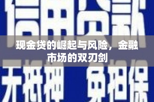 定海现金贷的崛起与风险，金融市场的双刃剑