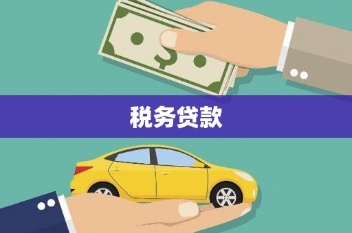 定海税务贷款