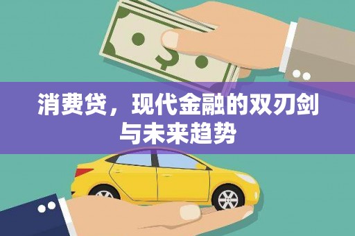 定海消费贷，现代金融的双刃剑与未来趋势