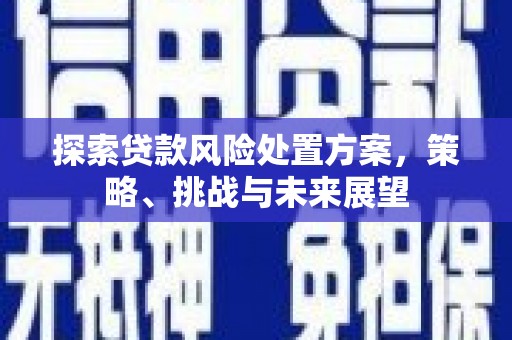 定海探索贷款风险处置方案，策略、挑战与未来展望