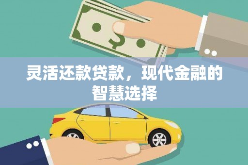 定海灵活还款贷款，现代金融的智慧选择