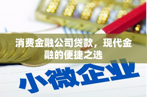 定海消费金融公司贷款，现代金融的便捷之选