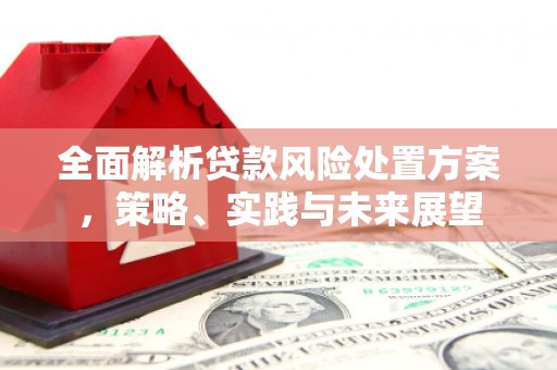定海全面解析贷款风险处置方案，策略、实践与未来展望