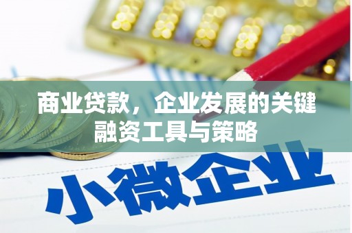 定海商业贷款，企业发展的关键融资工具与策略