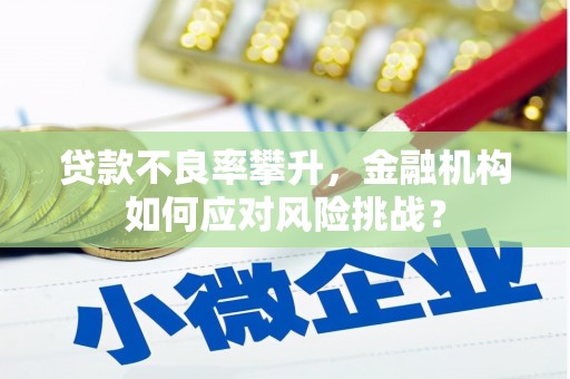 定海贷款不良率攀升，金融机构如何应对风险挑战？