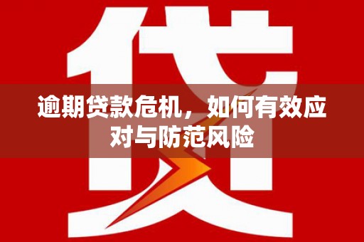 定海逾期贷款危机，如何有效应对与防范风险