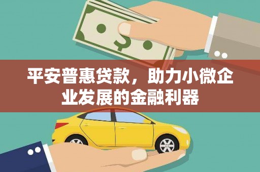 定海平安普惠贷款，助力小微企业发展的金融利器