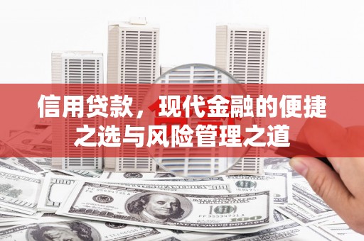 定海信用贷款，现代金融的便捷之选与风险管理之道