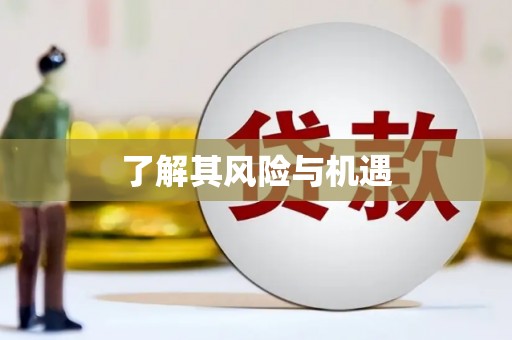 定海了解其风险与机遇