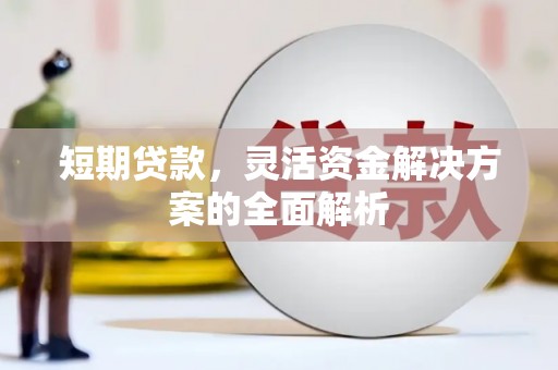 定海短期贷款，灵活资金解决方案的全面解析