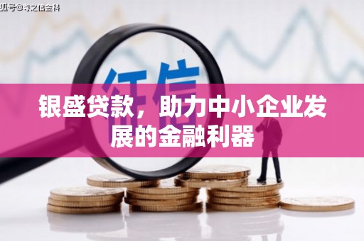定海银盛贷款，助力中小企业发展的金融利器