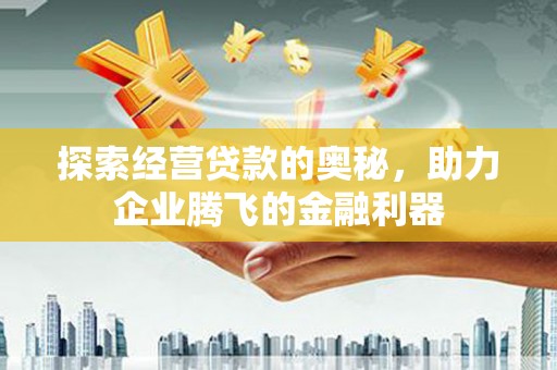 定海探索经营贷款的奥秘，助力企业腾飞的金融利器