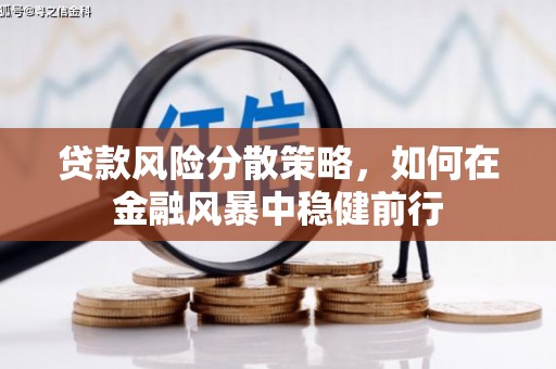 定海贷款风险分散策略，如何在金融风暴中稳健前行