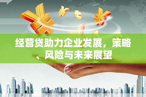 定海经营贷助力企业发展，策略、风险与未来展望
