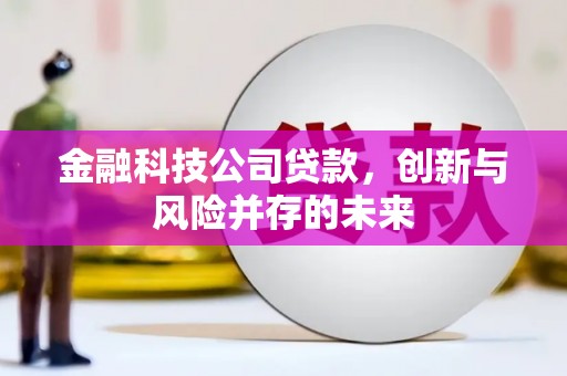 定海金融科技公司贷款，创新与风险并存的未来