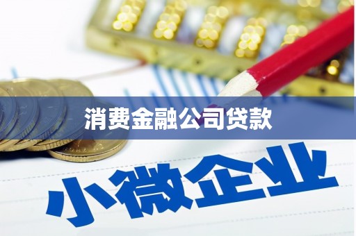 定海消费金融公司贷款