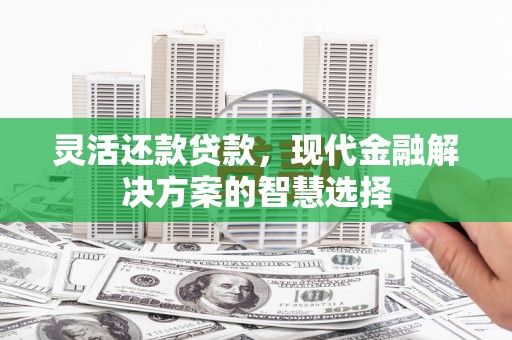 定海灵活还款贷款，现代金融解决方案的智慧选择