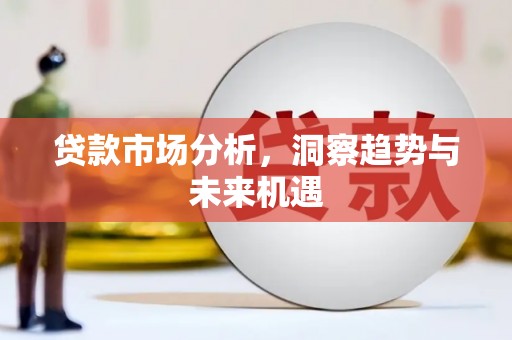 定海贷款市场分析，洞察趋势与未来机遇