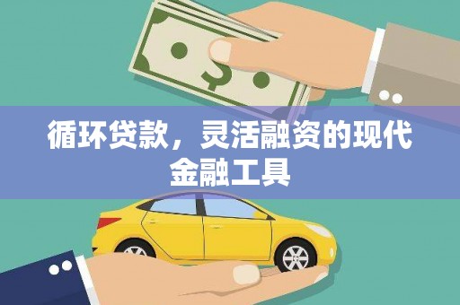 定海循环贷款，灵活融资的现代金融工具