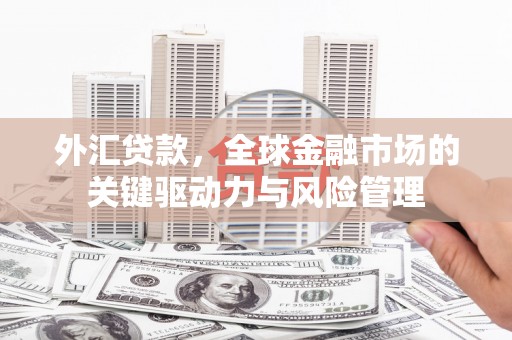 定海外汇贷款，全球金融市场的关键驱动力与风险管理