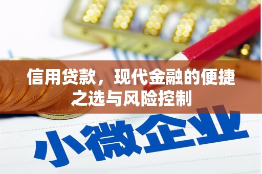 定海信用贷款，现代金融的便捷之选与风险控制