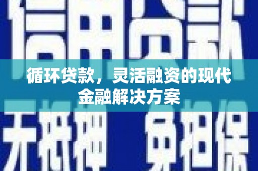 定海循环贷款，灵活融资的现代金融解决方案