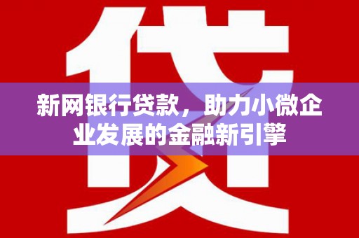 定海新网银行贷款，助力小微企业发展的金融新引擎