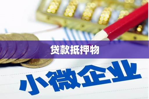 定海贷款抵押物